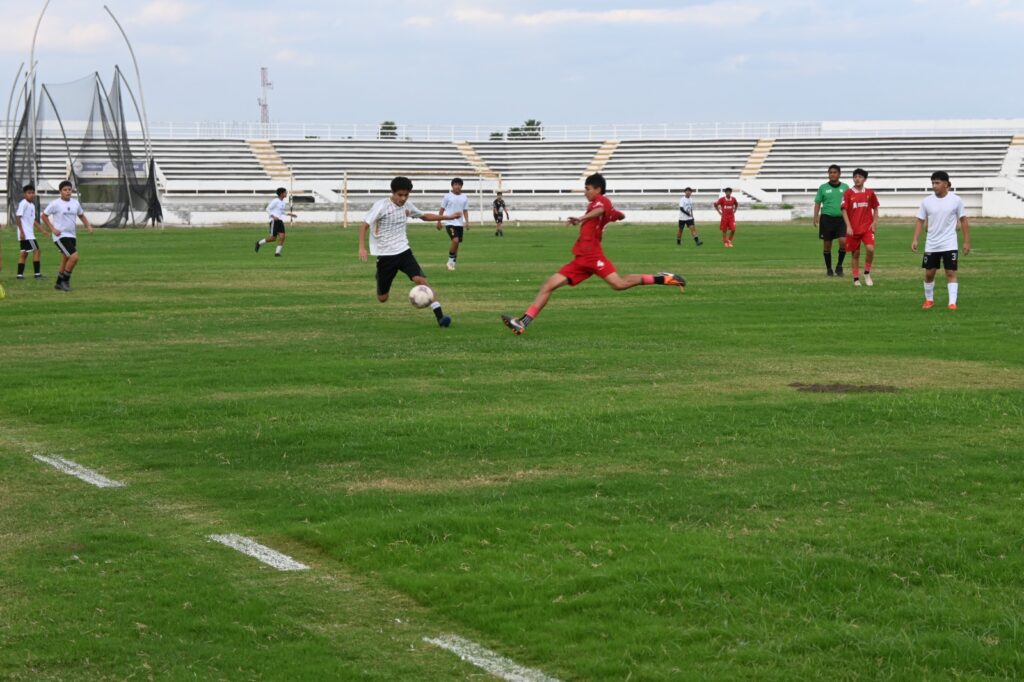 IMG-20241109-WA0022