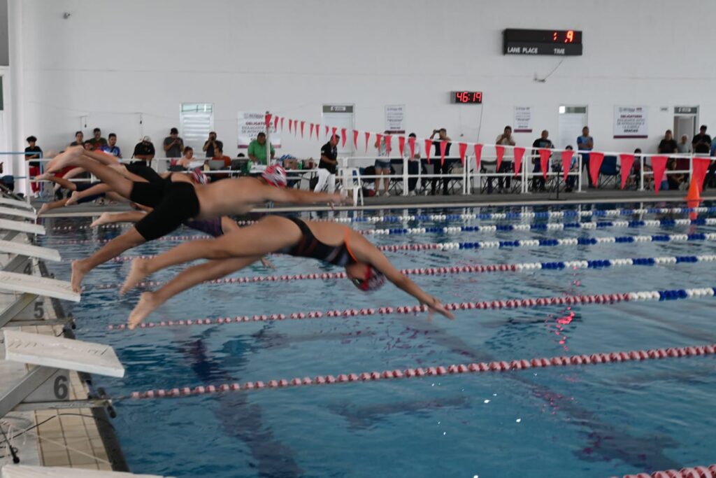 IMG-20241116-WA0051