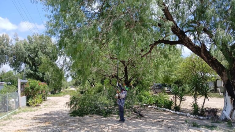 039e274c-c901-45a5-bf91-d4bbbe480d58