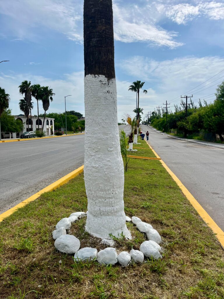 5c73424a-3cbe-48b3-b032-2ce15e5927a0