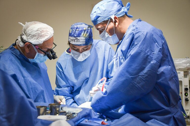 78e467a2-21ca-41d0-9506-bb9cdcff4c08