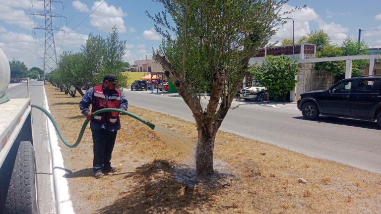 80fc73c5-4b9d-475d-9a28-657d64390133