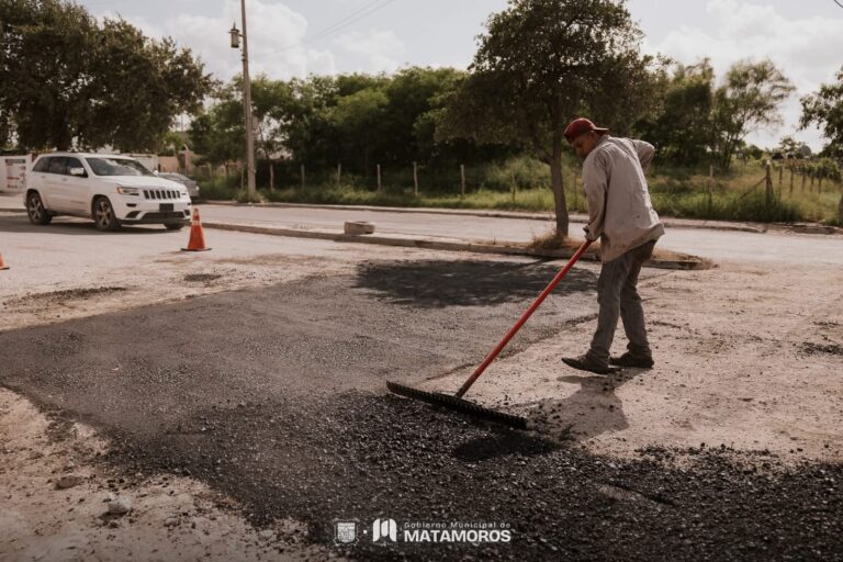 8ec0d9bf-cba3-4db3-902d-77b3613c269f