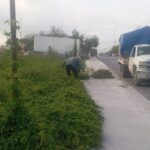 IMG-20250714-WA0010