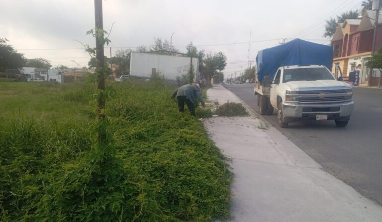IMG-20250714-WA0010