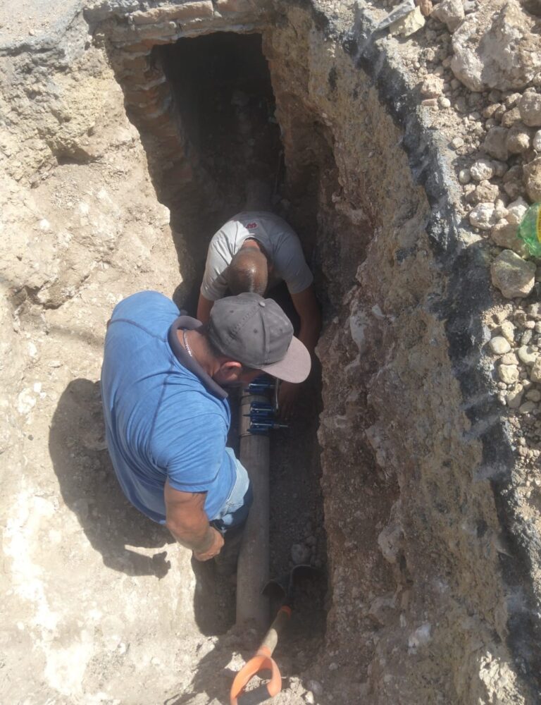 d7d4eae1-07f7-43bc-94a2-8f16b9833bfd