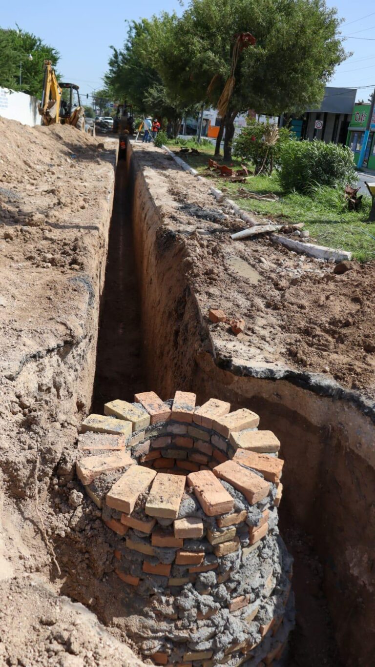 e81656d0-ba46-4843-b509-a2272ddb4088 (1)